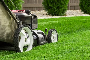 How to Choose the Ideal Lawn Mower for Your Yard