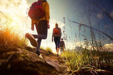 The Top 5 Nearby Hiking Trails