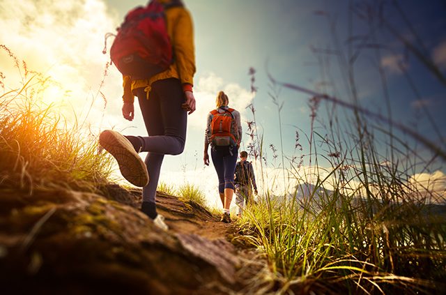 The Top 5 Nearby Hiking Trails Your Aaa Network