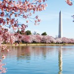 things to do in washington, d.c.
