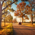 Car driving during fall season