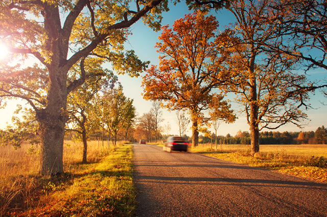 Car driving during fall season