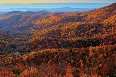 Q&A With a Park Ranger About Fall Foliage