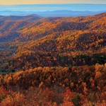 fall foliage in the mountains