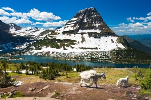 glacier national park