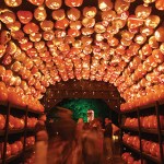 A tunnel of illuminated pumpkins at the Great Jack O’ Lantern Blaze,