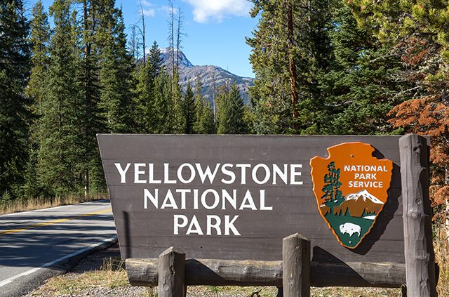 aaa tours yellowstone national park