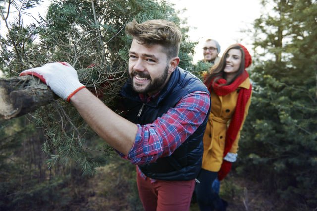 christmas tree farms - family cutting down a tree