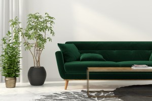 now and then green interiors
