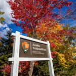 acadia national park guide