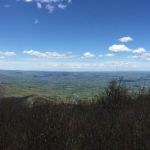 things to do in the catskills