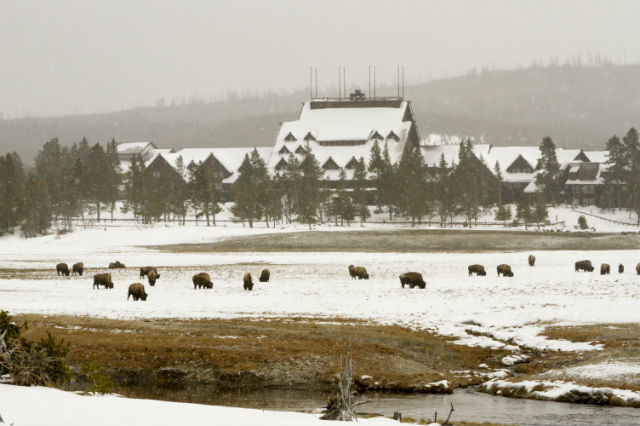 yellowstone lodging