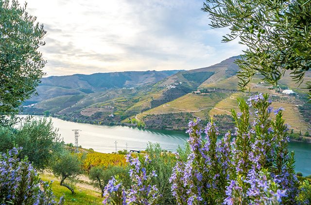 Douro River landscapes
