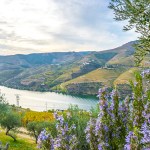 Douro River landscapes