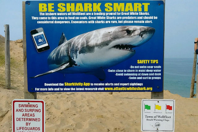 beach-safety