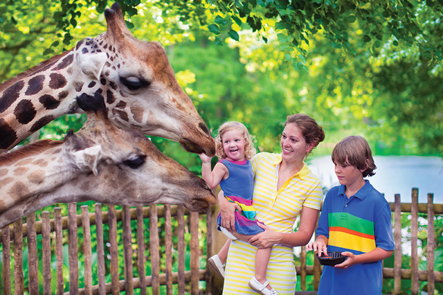 Kids meeting giraffes and the zoo