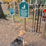 Dog-friendly park