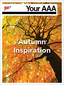 Autumn Inspriation