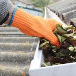 cleaning gutters fall home maintenance