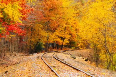 Fall Foliage Train Rides in the Northeast