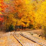 fall foliage train rides