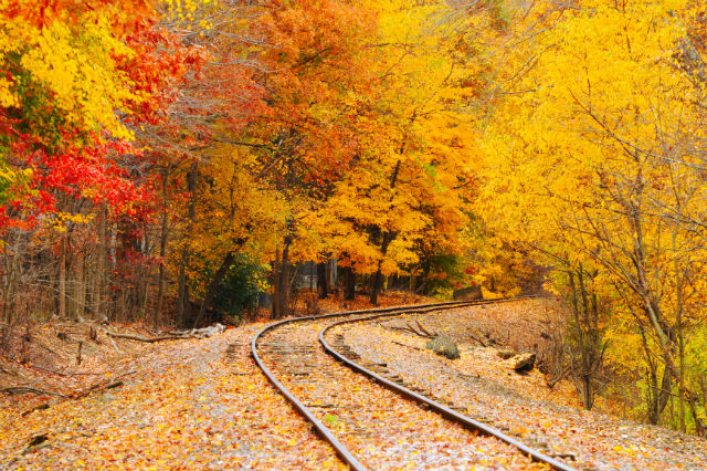 fall foliage train rides