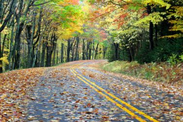 Advice on How to Drive Safely in the Fall