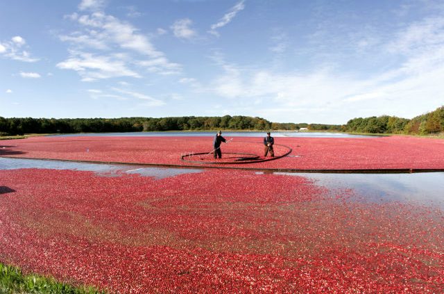 The High Points Of Low Season Discover Cape Cod In The Fall - 