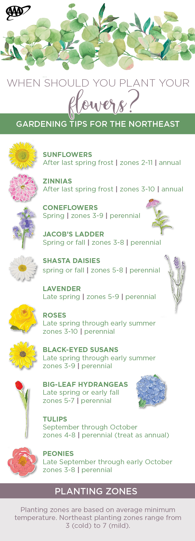 northeast planting guide