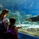 day trips for kids in the northeast
