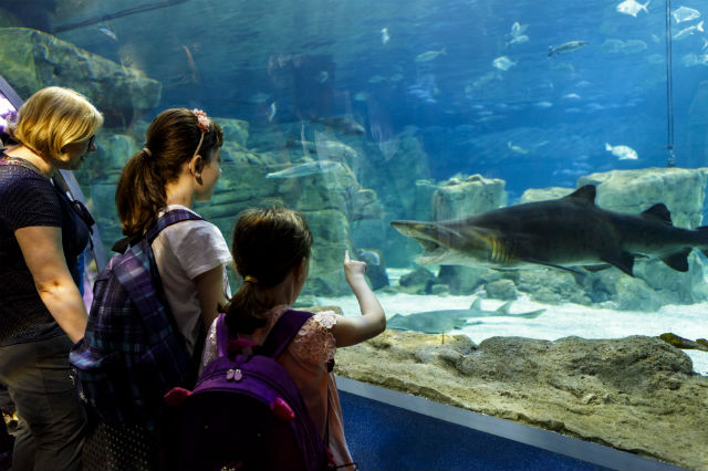 day trips for kids in the northeast