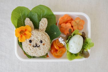 Bento Box Lunch Ideas for School