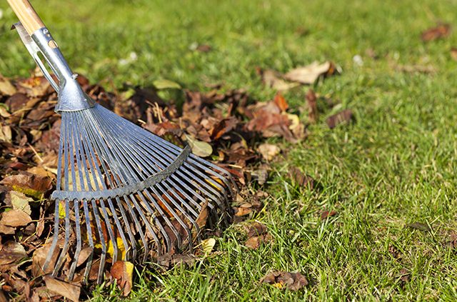 Landscaping Fall Cleanup for Your Home - Your AAA Network