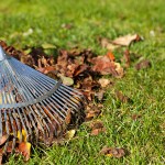 fall landscaping cleanup