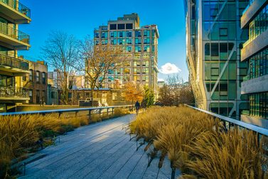 Things to Do on and Around the High Line in NYC