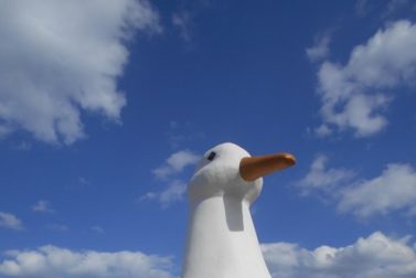 “The Big Duck and Eastern Long Island’s Duck Farming Industry” by Susan Van Scoy