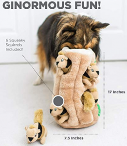 The Best Dog Toys on Amazon