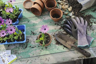 Garden Gadgets You Need This Spring