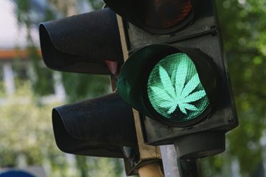 AAA Responds as Marijuana Legalization Expands