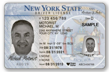 The History of the Driver’s License