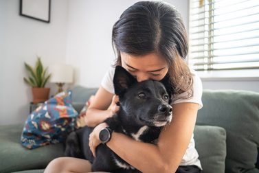 Are Pets Covered by Home and Auto Insurance?