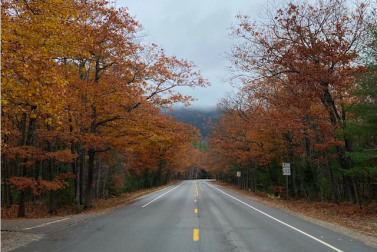The Most Scenic Road in Each Northeast State