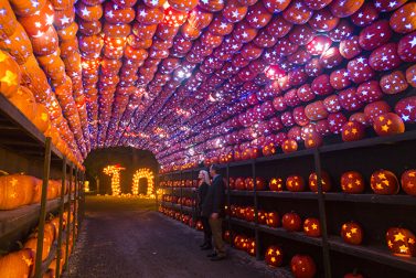 Have a Happily Haunted Halloween in Westchester County