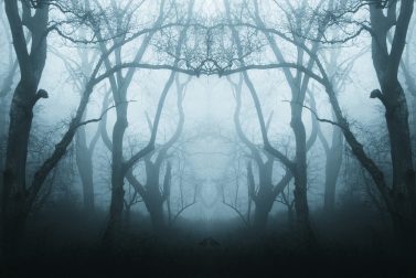 Kriss Kross: Spooky Season