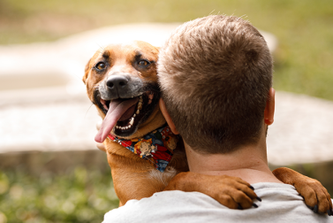 What to Expect During the Pet Adoption Process