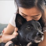 pets covered by insurance
