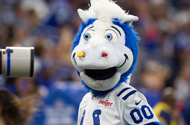 An Unofficial Ranking of NFL Mascots - Your AAA Network