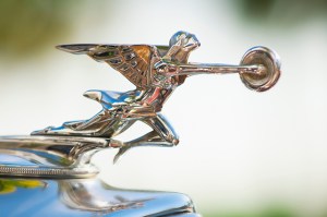 car hood ornament