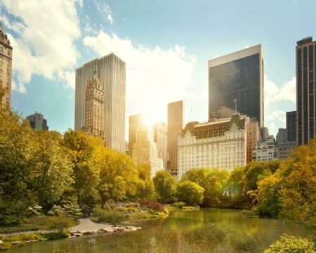 things to do in nyc for a day - central park