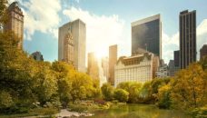 things to do in nyc for a day - central park
